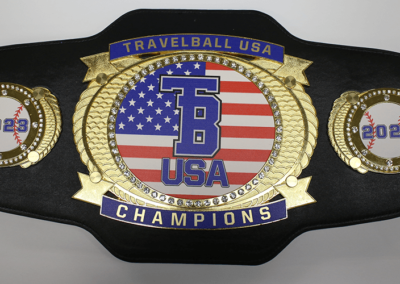 Custom Championship Belt